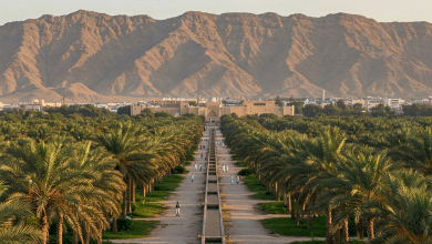واحة العين موقع تراثي عالمي ومركز ثقافي في الإمارات