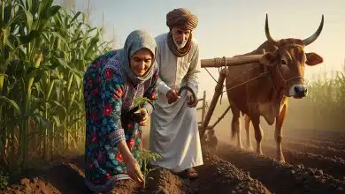 طرق وأساليب الزراعة في حضرموت ما قبل الإسلام