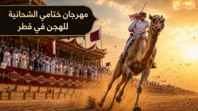 مهرجان ختامي الشحانية للهجن في قطر حيث تجتمع عراقة الموروث بالإثارة