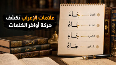 أهم علامات الإعراب في اللغة العربية أهم علامات الإعراب في اللغة العربية