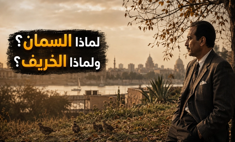 تحليل رواية السمان والخريف لنجيب محفوظ وأبرز قضاياها الرمزية ودلالة عنوان السمان والخريف
