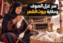 غزل الصوف بمعان وحكاية صناعة بيوت الشعر من وبر الإبل