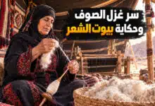 غزل الصوف بمعان وحكاية صناعة بيوت الشعر من وبر الإبل غزل الصوف بمعان وحكاية صناعة بيوت الشعر من وبر الإبل