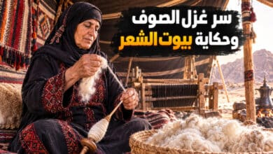 غزل الصوف بمعان وحكاية صناعة بيوت الشعر من وبر الإبل