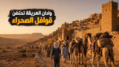 وادان الموريتانية المدينة العريقة التي احتضنت القوافل التجارية عبر التاريخ وادان الموريتانية المدينة العريقة التي احتضنت القوافل التجارية عبر التاريخ