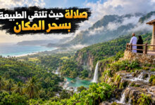 أفضل أماكن سياحية في صلالة عمان بين سحر الطبيعة وروعة المكان