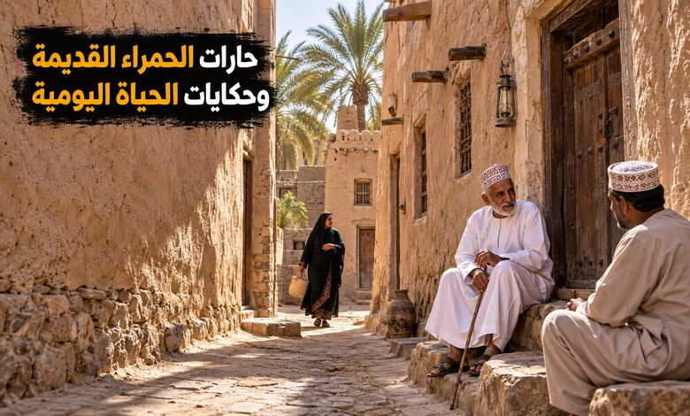 مدينة الحمراء العمانية بيوت طينية تحكي أسرار الحياة القديمة في الواحات الحياة اليومية في حارات الحمراء القديمة بين البيوت والعادات العمانية