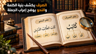 الفرق بين علم الصرف وعلم النحو بين بنية الكلمة وإعراب الجملة الفرق بين علم الصرف وعلم النحو بين بنية الكلمة وإعراب الجملة