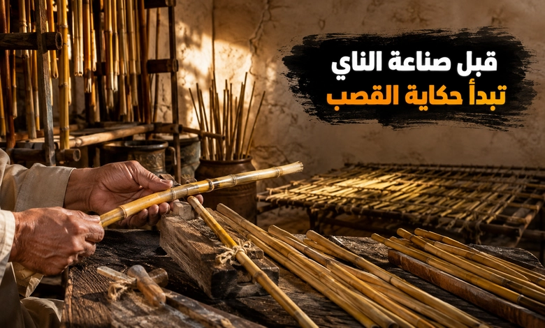 أسرار صناعة الناي من القصب العربي في مصر والشام تجهيز القصب ومعالجته قبل بدء صناعة الناي