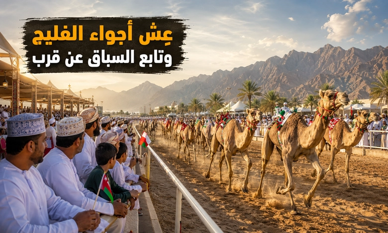 دليل حضور مهرجان الفليج للهجن ومتابعة منافساته
