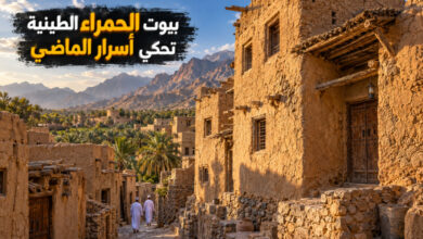 مدينة الحمراء العمانية بيوت طينية تحكي أسرار الحياة القديمة في الواحات مدينة الحمراء العمانية بيوت طينية تحكي أسرار الحياة القديمة في الواحات