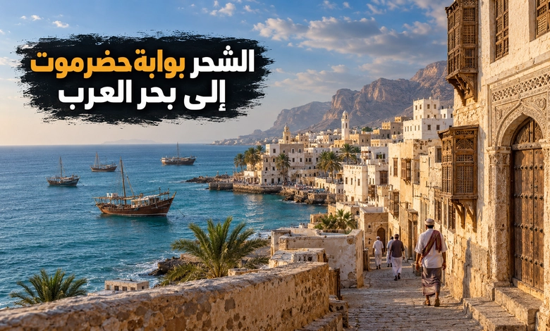 مدينة الشحر القديمة ميناء حضرمي يروي تاريخ التجارة على بحر العرب مدينة الشحر القديمة بوابة حضرموت البحرية وشاهد على تاريخ بحر العرب