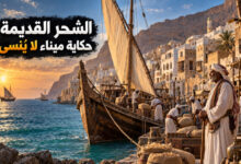 مدينة الشحر القديمة ميناء حضرمي يروي تاريخ التجارة على بحر العرب