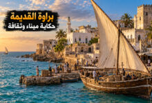 مدينة براوة القديمة حكاية ميناء جمع التجارة والثقافة على ساحل الصومال