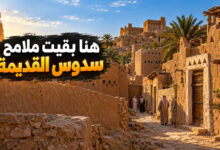 مدينة سدوس التاريخية حكاية قرية نجدية احتفظت بملامحها القديمة
