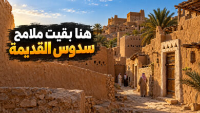 مدينة سدوس التاريخية حكاية قرية نجدية احتفظت بملامحها القديمة مدينة سدوس التاريخية حكاية قرية نجدية احتفظت بملامحها القديمة