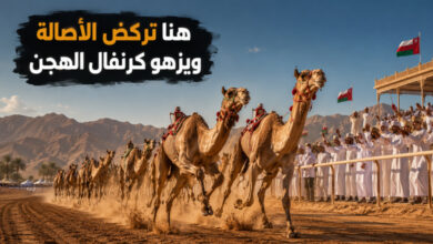 مهرجان الفليج للهجن في عمان ركض الأصالة وكرنفال يزهو بالجمال مهرجان الفليج للهجن في عمان ركض الأصالة وكرنفال يزهو بالجمال