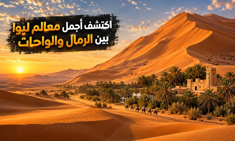 مدينة ليوا التاريخية حكاية الواحات والحصون على أطراف الربع الخالي أبرز معالم ليوا السياحية والمواقع الطبيعية والأثرية في الواحة