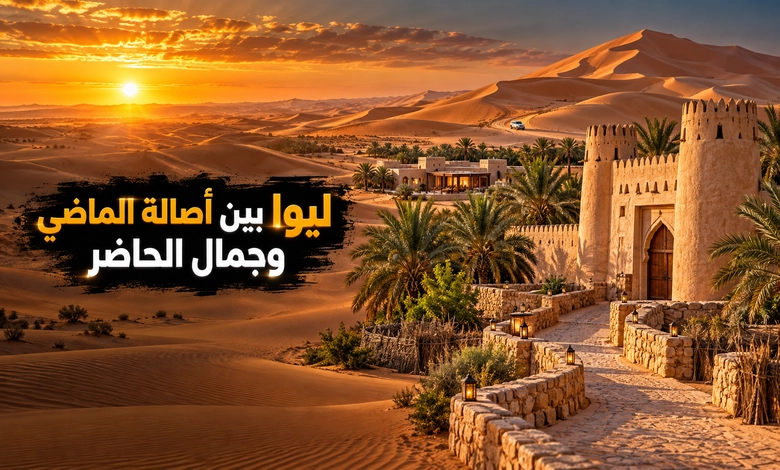 مدينة ليوا التاريخية حكاية الواحات والحصون على أطراف الربع الخالي دليل زيارة مدينة ليوا التاريخية ومستقبل الواحة بين الماضي والحاضر