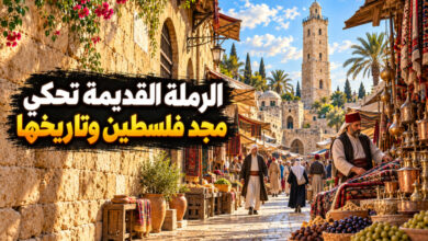 مدينة الرملة القديمة في فلسطين أسواق وآثار تروي مجد الديار