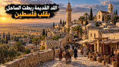 مدينة اللد القديمة حكاية مدينة ربطت الساحل بقلب فلسطين مدينة اللد القديمة حكاية مدينة ربطت الساحل بقلب فلسطين