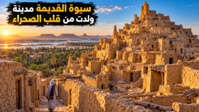 مدينة سيوة القديمة حكاية الواحة التي صنعت عمارتها من قلب الصحراء