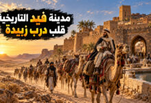 مدينة فيد التاريخية محطة القوافل التي خلدها درب زبيدة