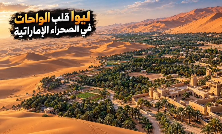 مدينة ليوا التاريخية حكاية الواحات والحصون على أطراف الربع الخالي مدينة ليوا التاريخية ومكانتها بين واحات الصحراء الإماراتية